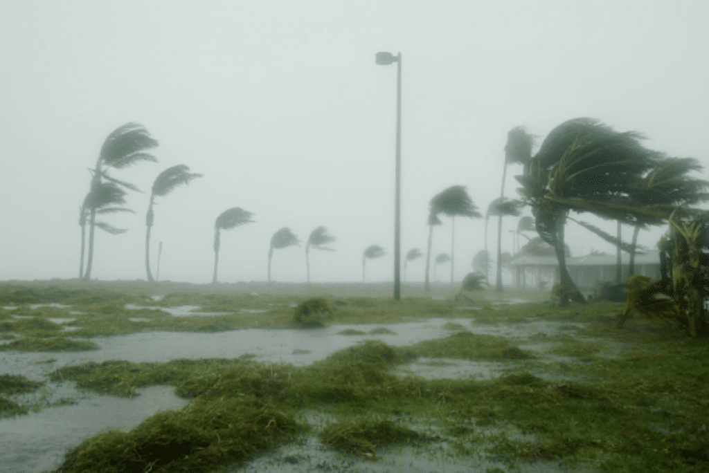hurricane ian relief